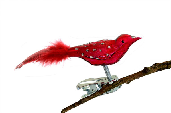 Mini-Vogel, Glimmerpunkte, farbige Perlhuhn-Feder glanz ochsenblut